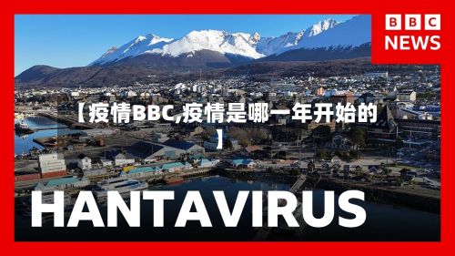 【疫情BBC,疫情是哪一年开始的】-第3张图片