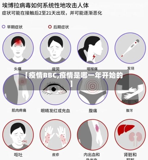 【疫情BBC,疫情是哪一年开始的】-第2张图片