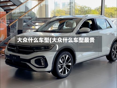 大众什么车型(大众什么车型最贵)-第3张图片