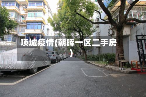 项城疫情(朝晖一区二手房)-第3张图片