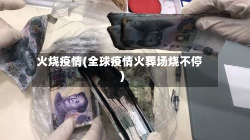 火烧疫情(全球疫情火葬场烧不停)-第3张图片