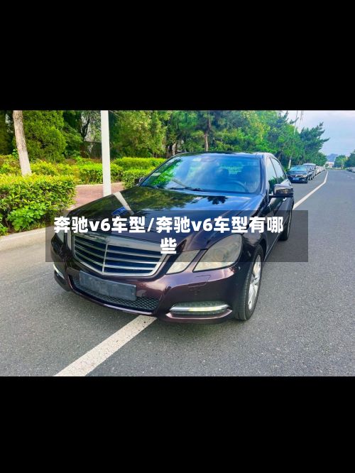 奔驰v6车型/奔驰v6车型有哪些-第2张图片