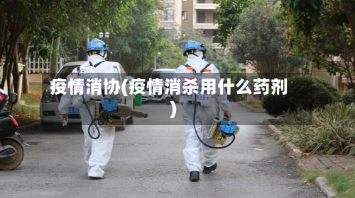 疫情消协(疫情消杀用什么药剂)