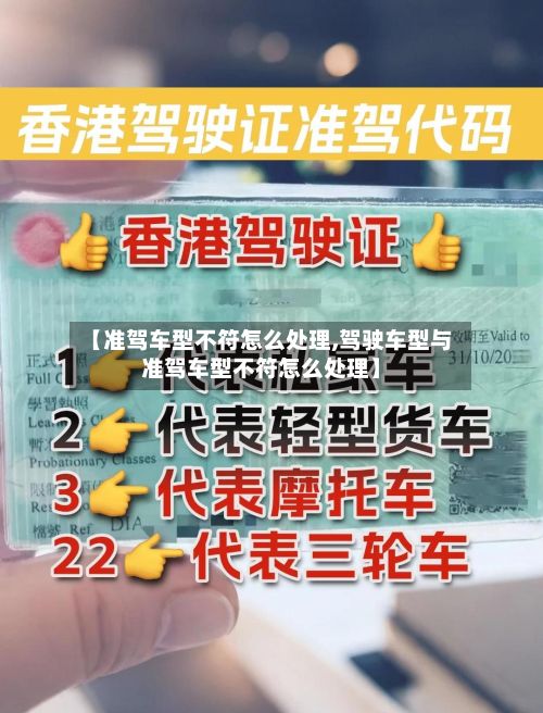 【准驾车型不符怎么处理,驾驶车型与准驾车型不符怎么处理】-第2张图片