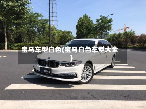 宝马车型白色(宝马白色车型大全)-第2张图片