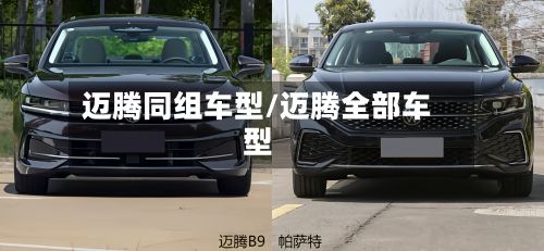 迈腾同组车型/迈腾全部车型-第3张图片