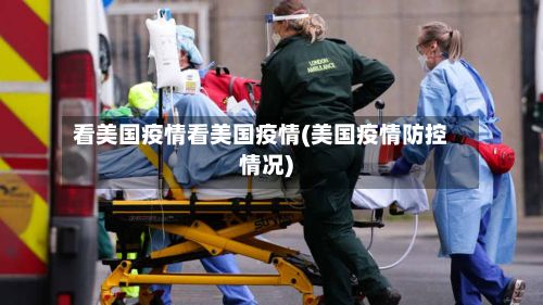 看美国疫情看美国疫情(美国疫情防控情况)-第3张图片