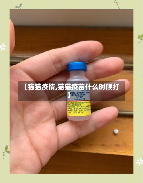 【猫猫疫情,猫猫疫苗什么时候打】