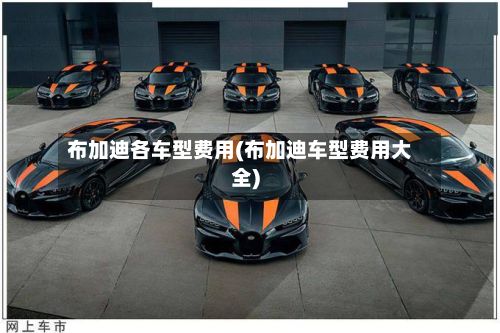 布加迪各车型费用(布加迪车型费用大全)