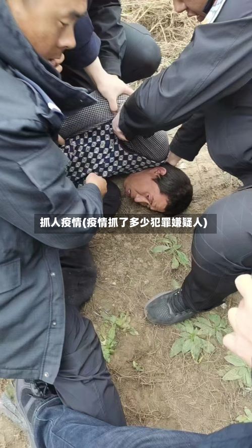 抓人疫情(疫情抓了多少犯罪嫌疑人)-第2张图片