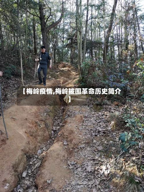 【梅岭疫情,梅岭被围革命历史简介】