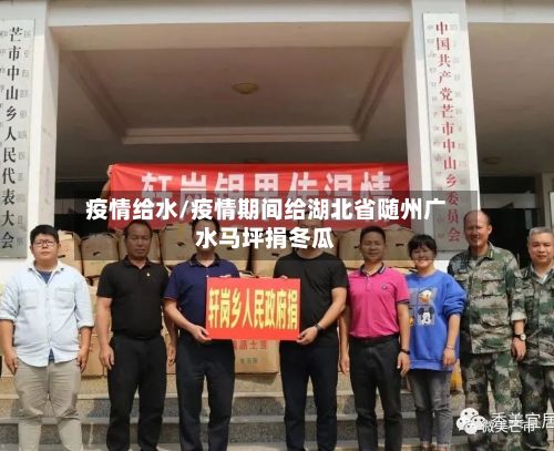 疫情给水/疫情期间给湖北省随州广水马坪捐冬瓜-第2张图片