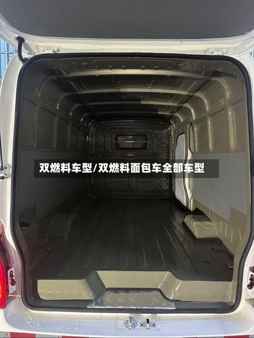 双燃料车型/双燃料面包车全部车型