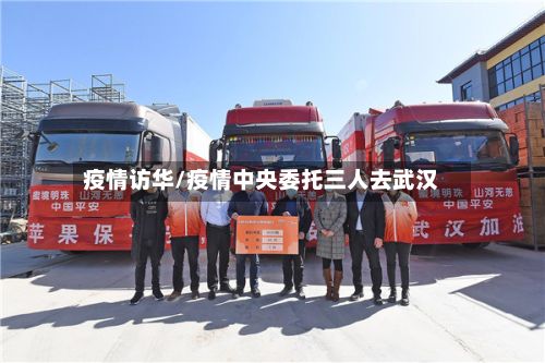 疫情访华/疫情中央委托三人去武汉