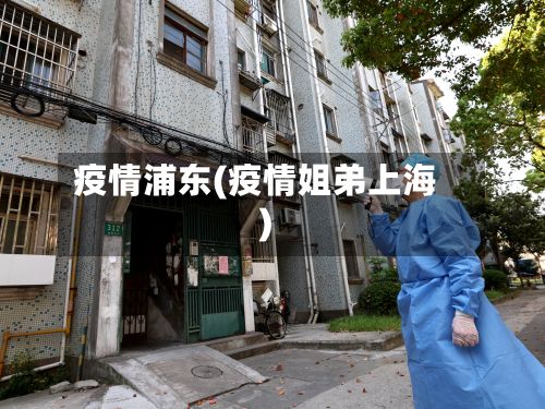 疫情浦东(疫情姐弟上海)
