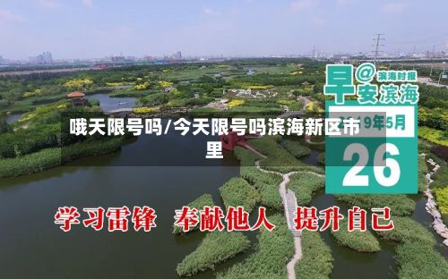 哦天限号吗/今天限号吗滨海新区市里-第3张图片