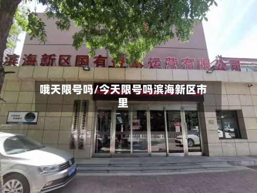 哦天限号吗/今天限号吗滨海新区市里-第2张图片