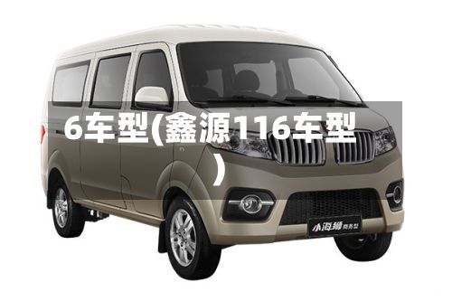 6车型(鑫源116车型)