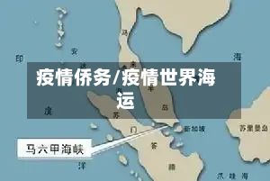疫情侨务/疫情世界海运