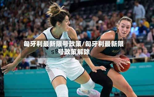 匈牙利最新限号政策/匈牙利最新限号政策解除-第2张图片