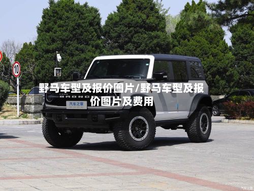 野马车型及报价图片/野马车型及报价图片及费用