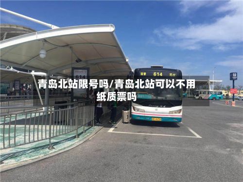 青岛北站限号吗/青岛北站可以不用纸质票吗-第2张图片