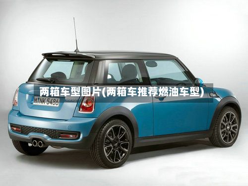 两箱车型图片(两箱车推荐燃油车型)