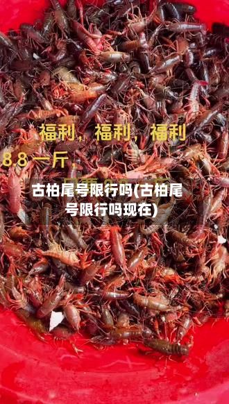古柏尾号限行吗(古柏尾号限行吗现在)-第3张图片