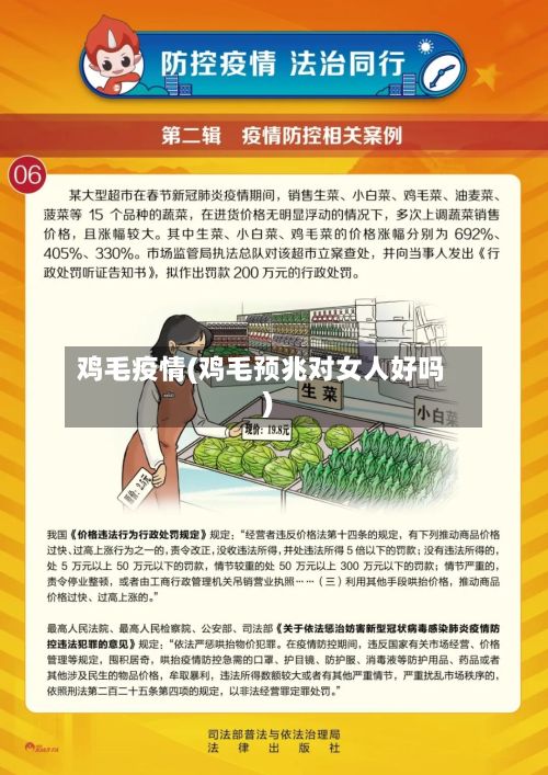 鸡毛疫情(鸡毛预兆对女人好吗)