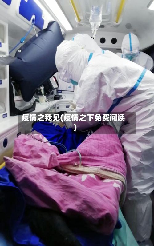 疫情之我见(疫情之下免费阅读)