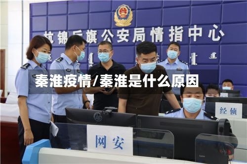 秦淮疫情/秦淮是什么原因