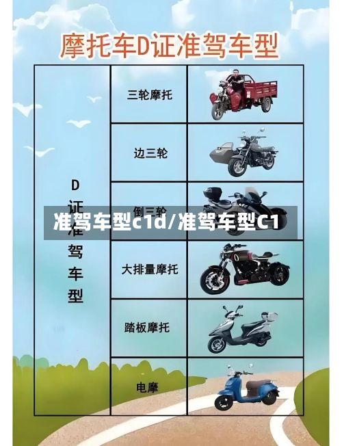 准驾车型c1d/准驾车型C1