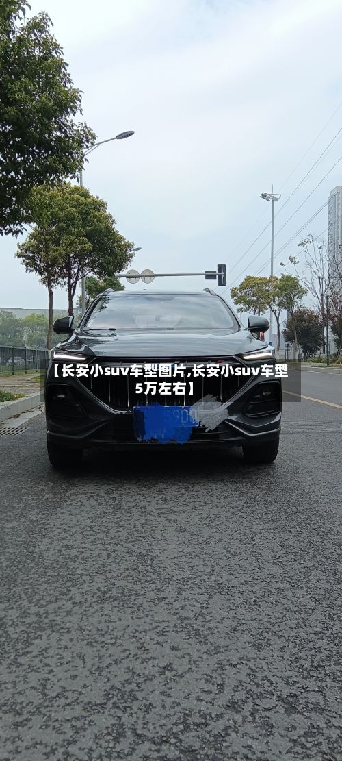 【长安小suv车型图片,长安小suv车型5万左右】