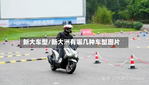 新大车型/新大洲有哪几种车型图片-第2张图片