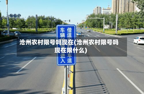 沧州农村限号吗现在(沧州农村限号吗现在限什么)-第2张图片