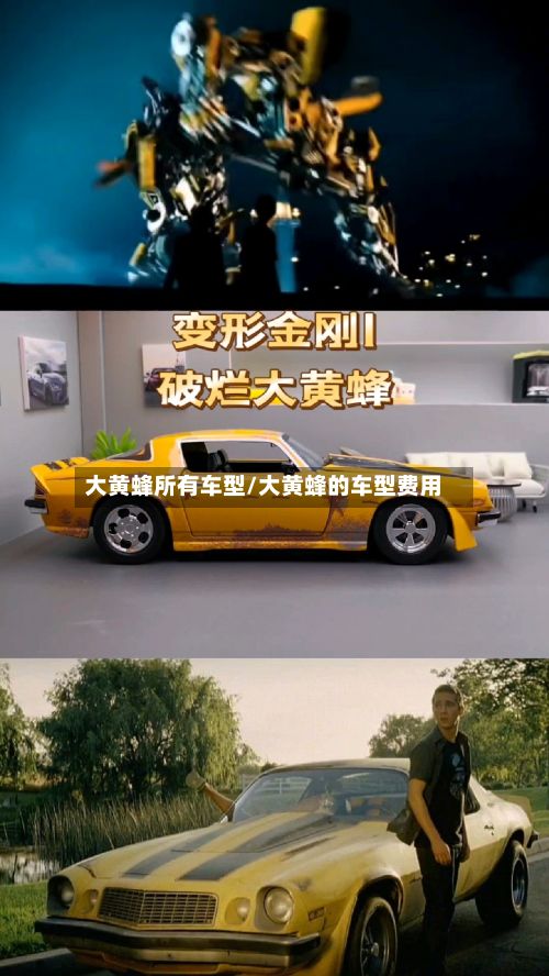 大黄蜂所有车型/大黄蜂的车型费用