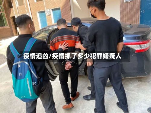 疫情追凶/疫情抓了多少犯罪嫌疑人